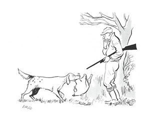 300x247 Bird Dog Drawings Fine Art America - Hunting Dog Sketches