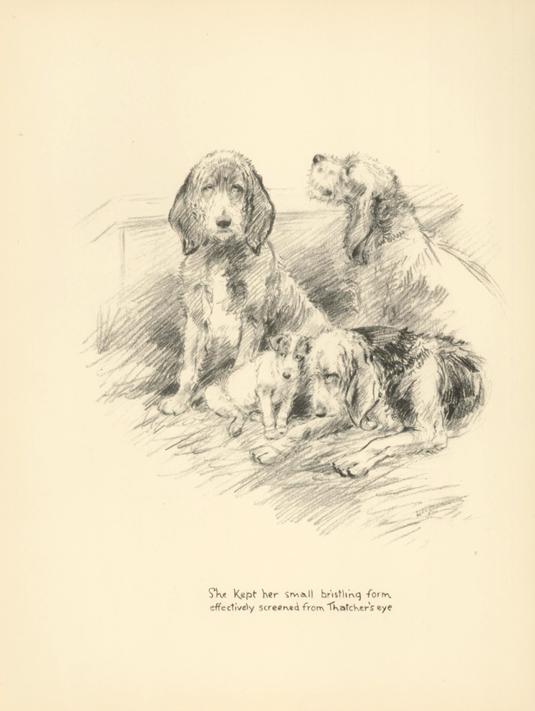 753x1000 Family Of Dogs. Reverse Otter Hunting. Just Dogs Sketches In Pen - Hunting Dog Sketches