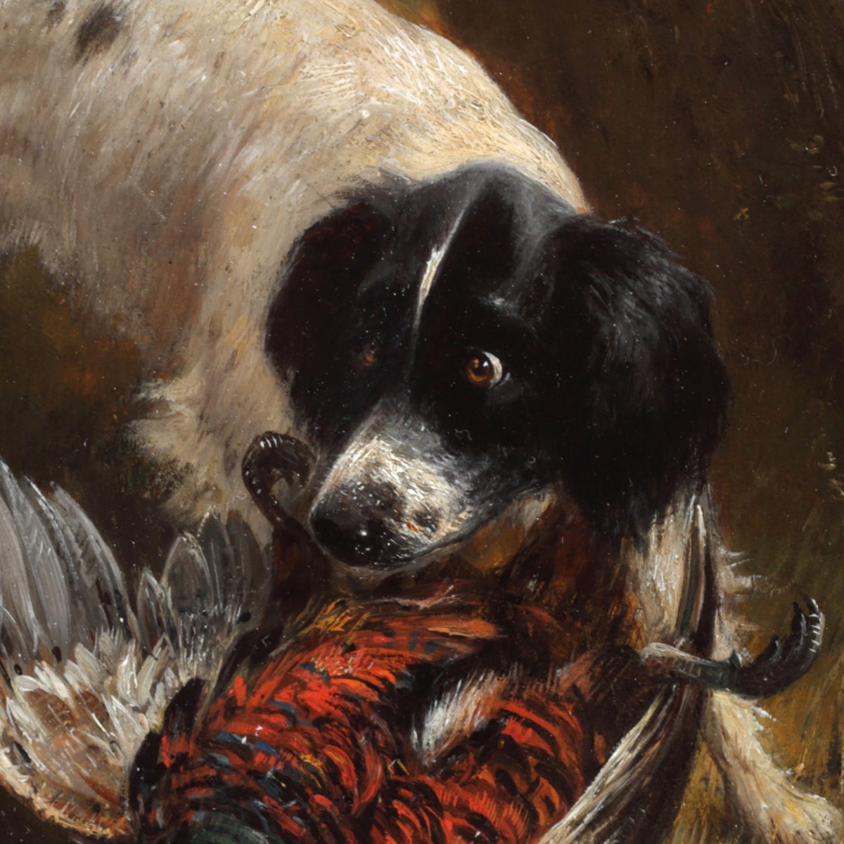 1200x1200 Hunting Dog With A Pheasant - Hunting Dog Sketches