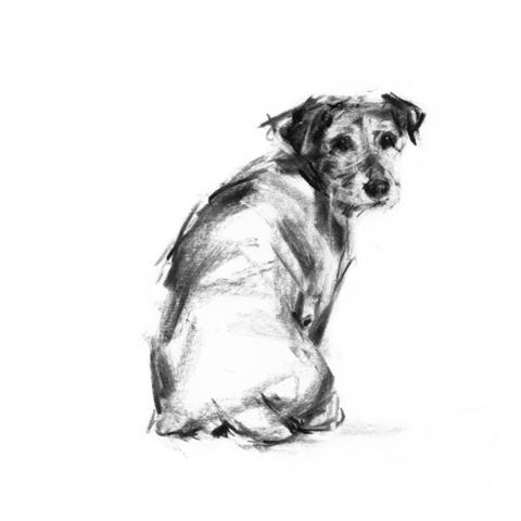 480x480 Paintmydog Dog Art Contemporary Dog Portraits - Hunting Dog Sketches