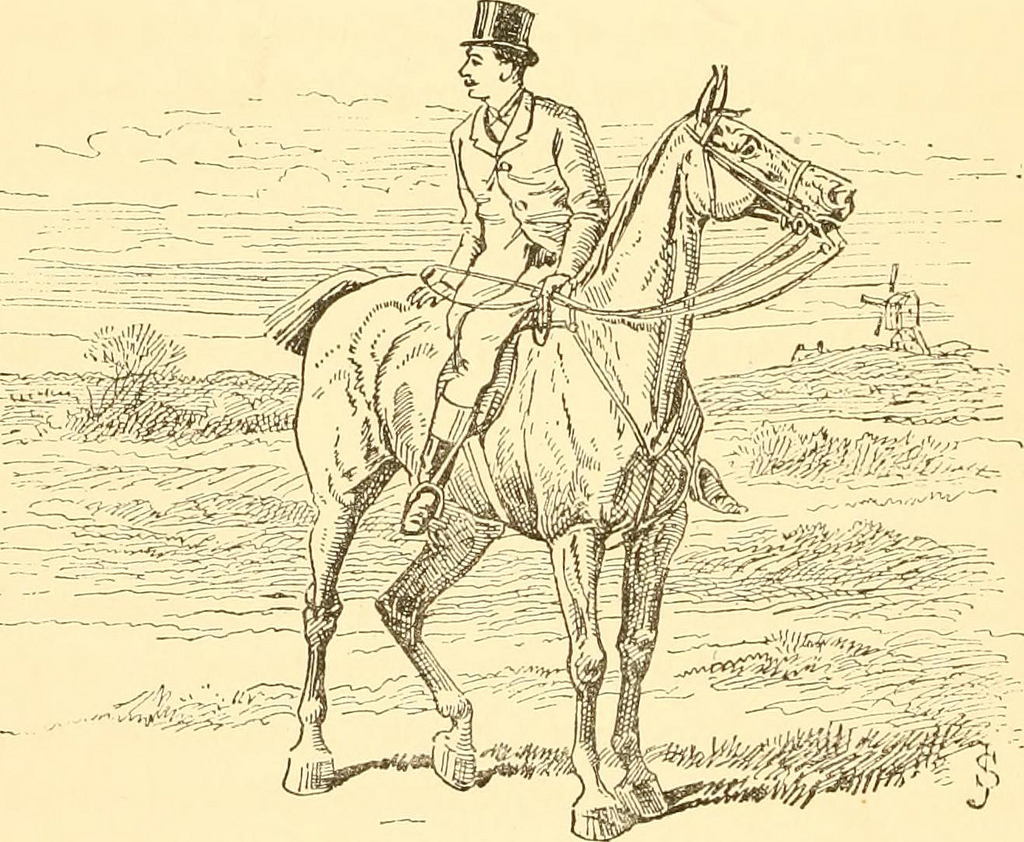 1024x842 Image From - Hunting Sketches