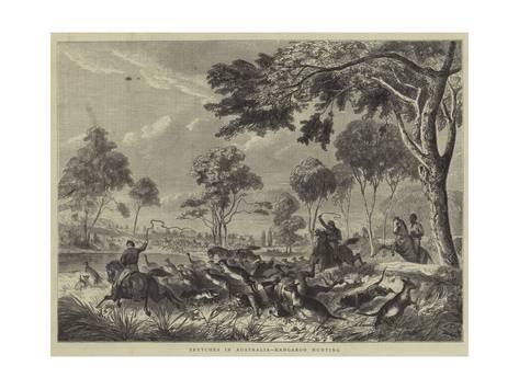 473x355 Sketches In Australia, Kangaroo Hunting Giclee Print - Hunting Sketches
