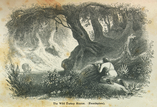 500x341 Thomas Bangs Thorpe, 1815 1878. The Hive Of The Bee Hunter, A - Hunting Sketches