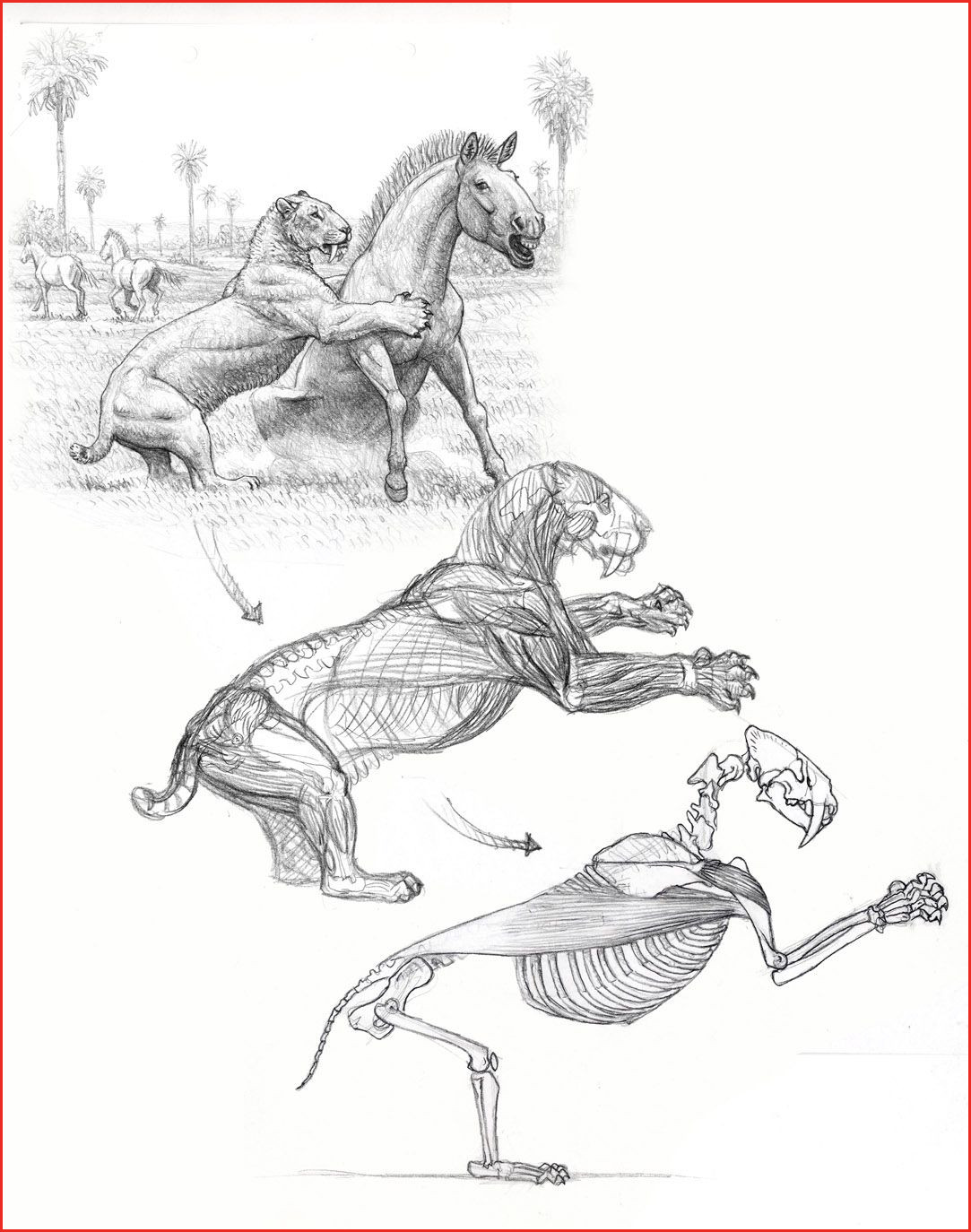 1083x1374 Tips For Hunting Drawings Image Of Drawing Ideas 274 - Hunting Sketches