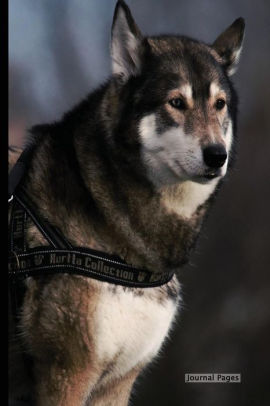 270x406 Journal Pages - Husky Dog Sketches