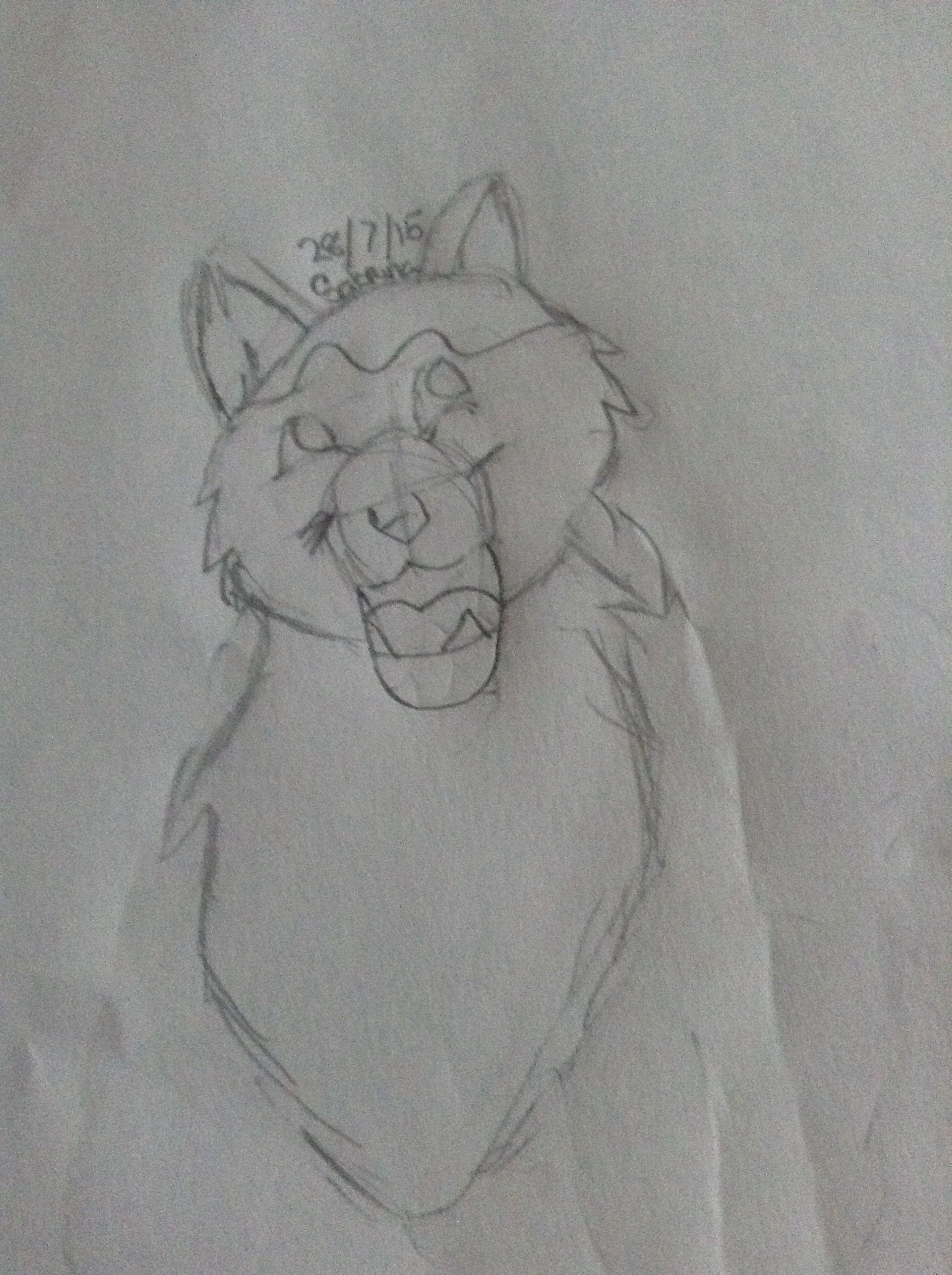 1936x2592 My Husky Dog Sketch Drawings Husky Dog - Husky Dog Sketches