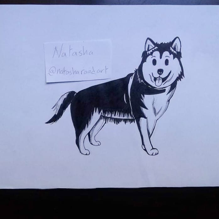 697x697 Huskyart - Husky Dog Sketches