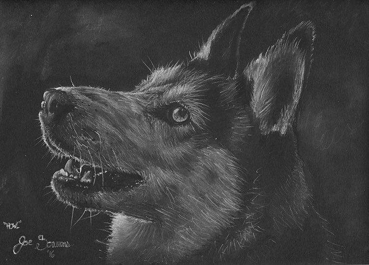 750x539 Crone Husky Dog Charcoal Drawing - Husky Dog Sketches