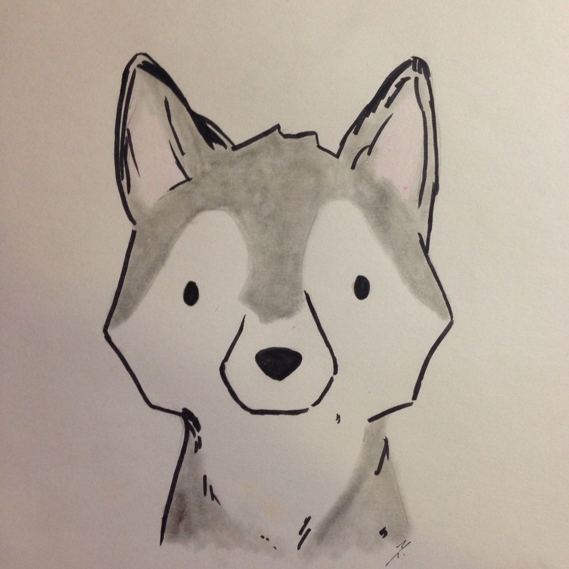 1136x1136 Husky Drawing Tattoo - Husky Sketch