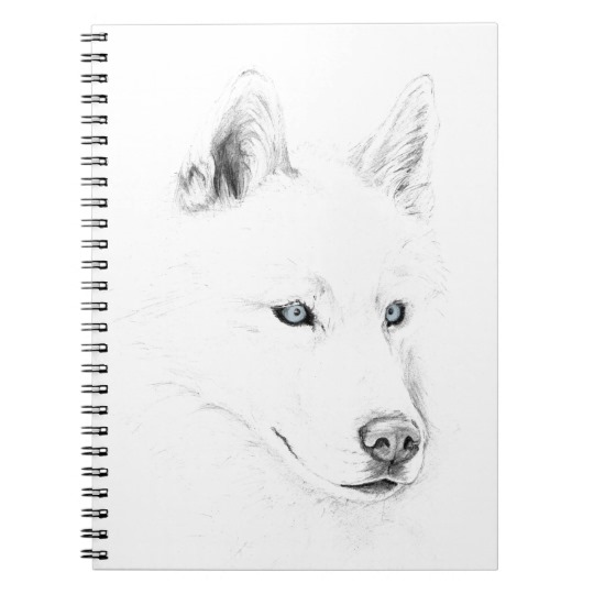 540x540 Sabre A Siberian Husky Drawing Art Blue Eyes Notebook Zazzle.ca - Husky Sketch
