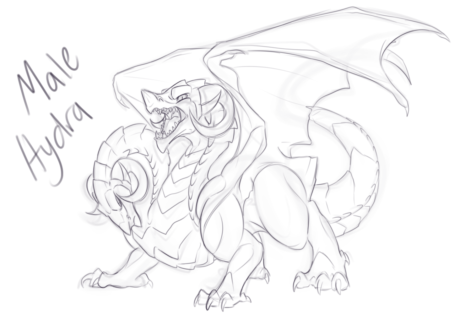 1500x1000 Hydra Dragon - Hydra Sketch