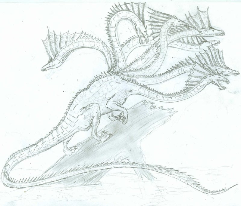 800x685 Hydra Sketch By Ashere - Hydra Sketch