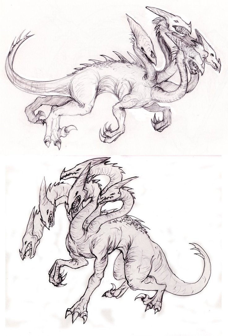 737x1084 Hydra Sketches By Bluespira - Hydra Sketch
