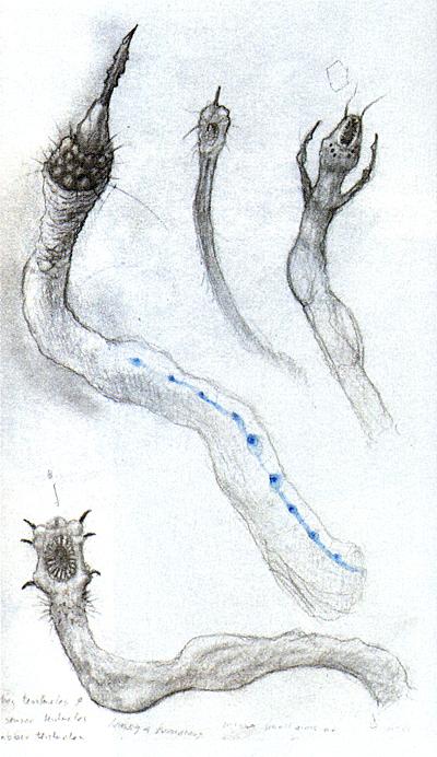 400x692 Hydra Addition For The Game ! (E3 Concept) Dreamsofhalflife3 - Hydra Sketch