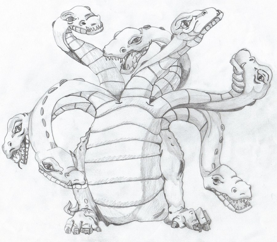 900x789 Hydra Sketch By Wolfiegrrrl - Hydra Sketch