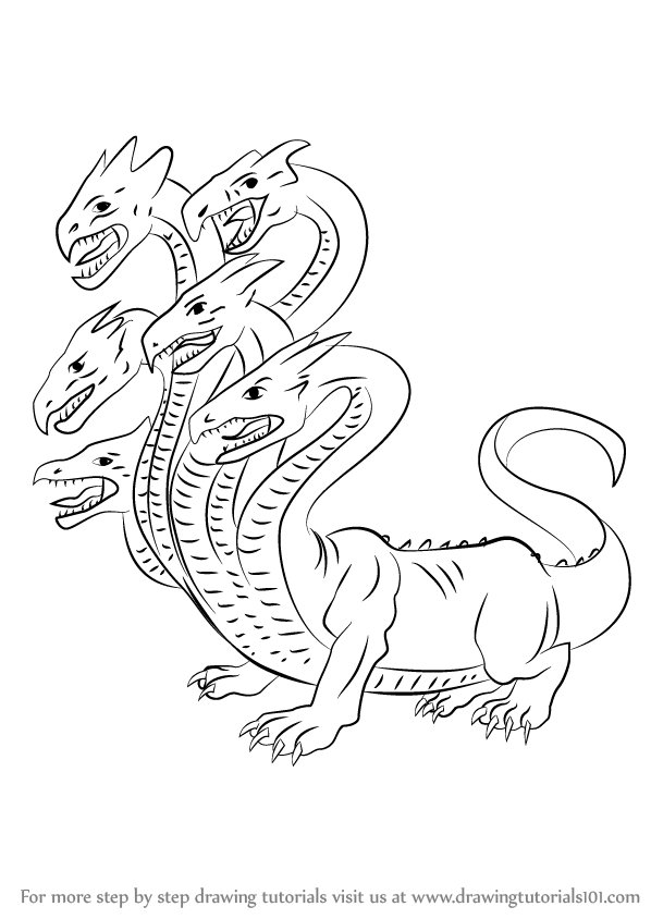 598x844 Learn How To Draw Hydra (Greek Mythology) Step By Step Drawing - Hydra Sketch