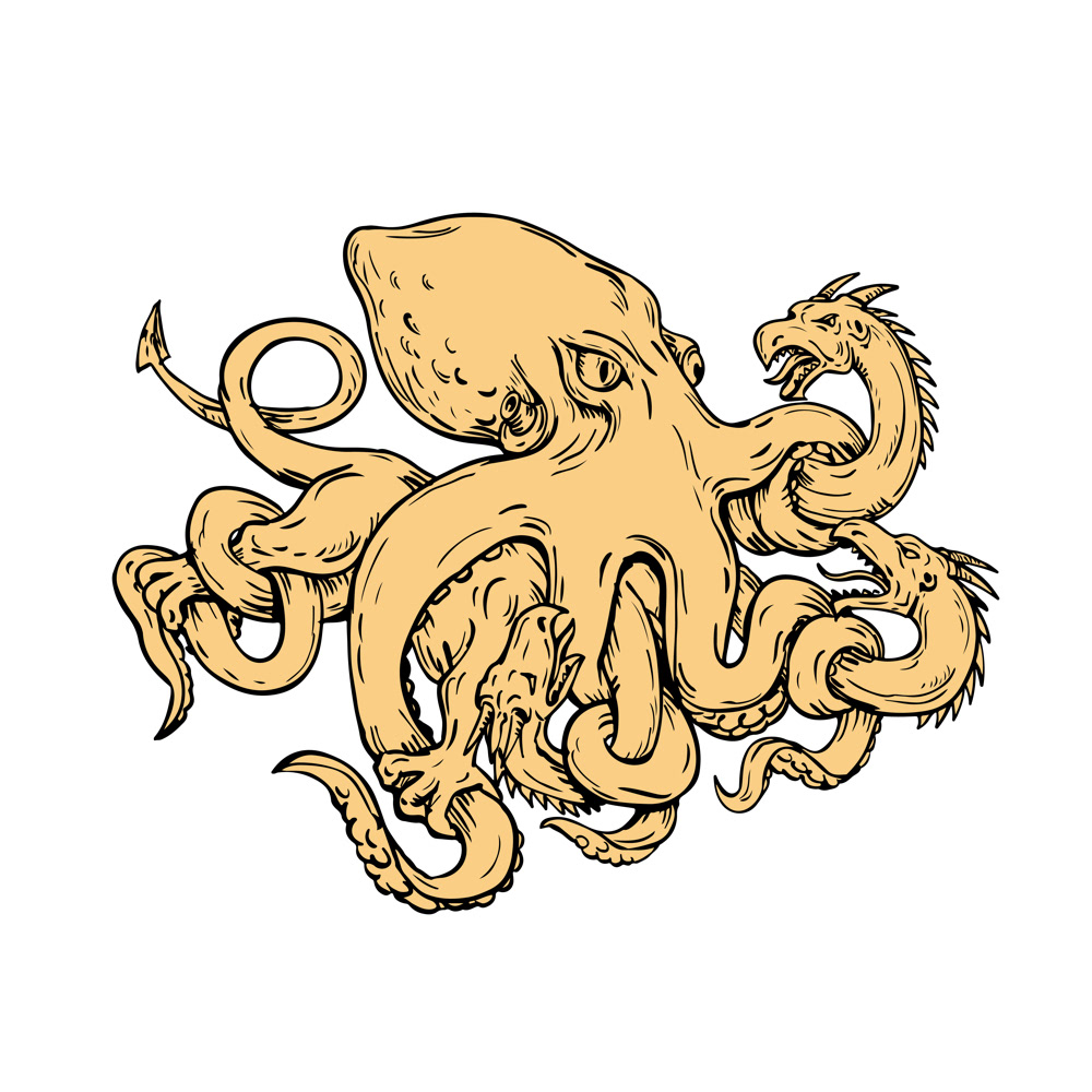 1000x1000 Giant Octopus Fighting Hydra Drawing On Behance - Hydra Sketch