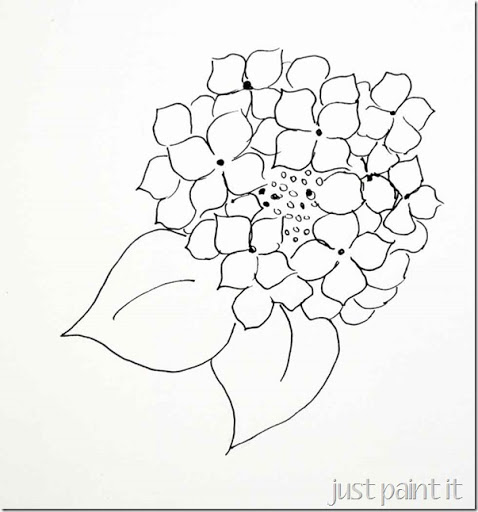 478x512 Paint Hydrangea - Hydrangea Flower Sketch