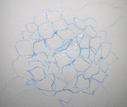 510x428 Everyday Artist Step By Step Watercolor How To Paint A Blue - Hydrangea Sketch
