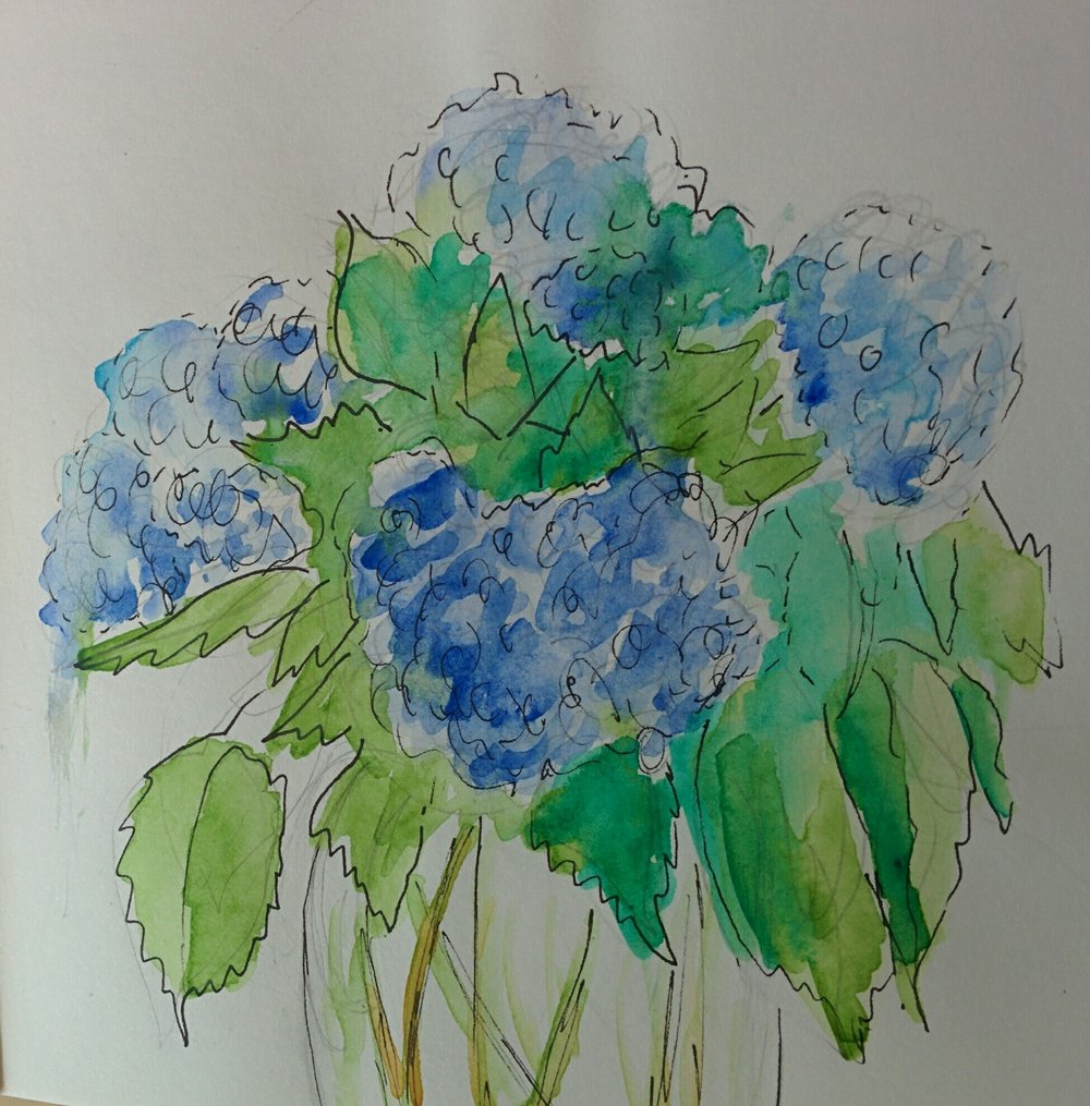 1000x1015 Hydrangea Sketch By Ann Mccann Water Water Color Amp Ink Ann - Hydrangea Sketch