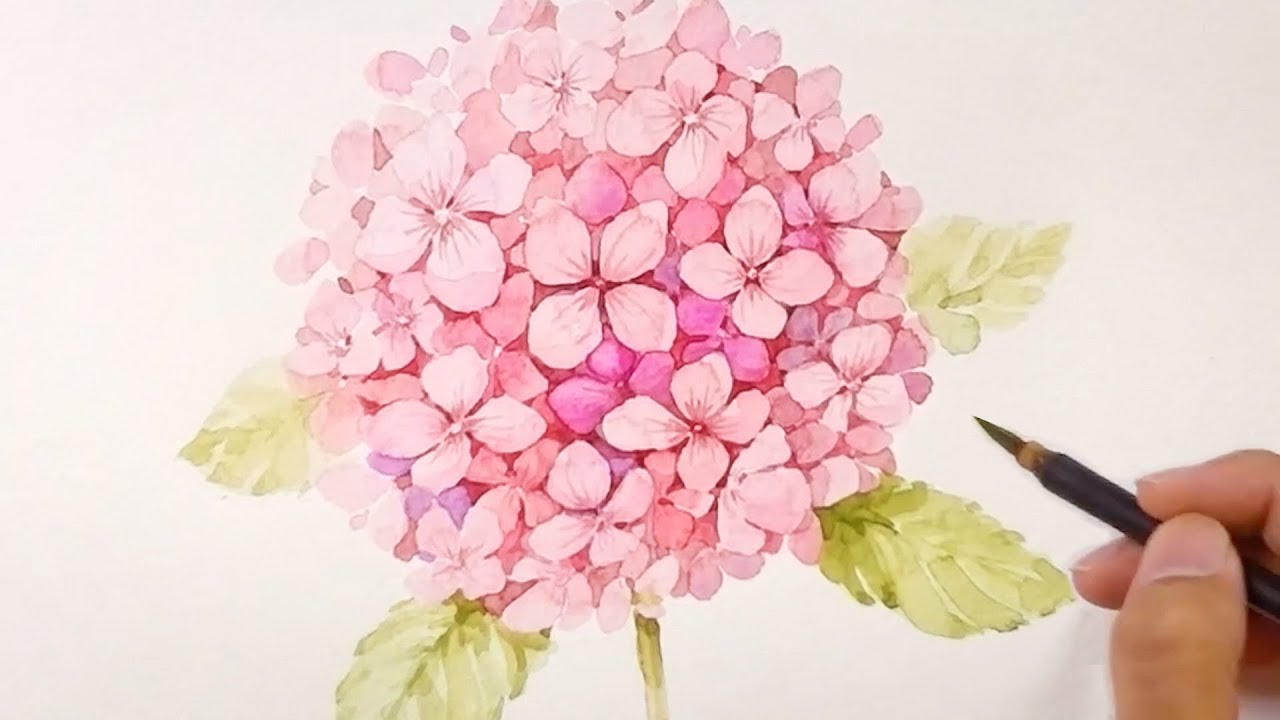1280x720 Paint A Realistic Hydrangea Without Sketch - Hydrangea Sketch