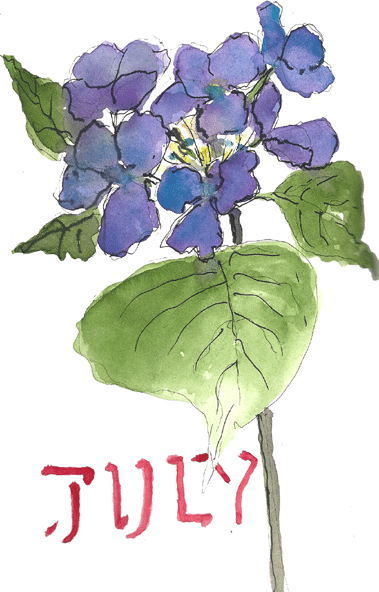 379x592 Dreamcicle Journeys Hydrangea Sketch - Hydrangea Sketch