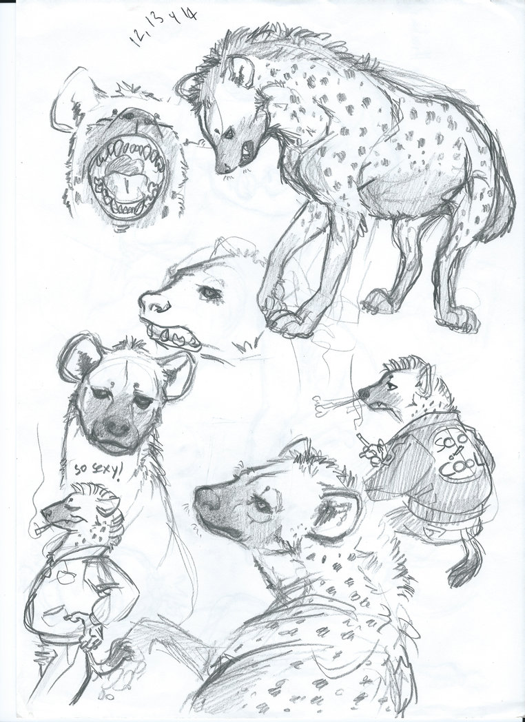 762x1048 Hyena Sketch By Nixtiredbrain - Hyena Sketch