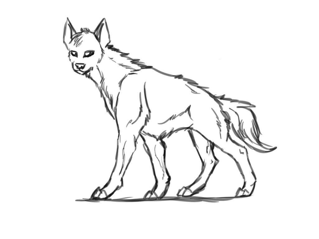 1024x768 Hyena Sketch By Symrea - Hyena Sketch