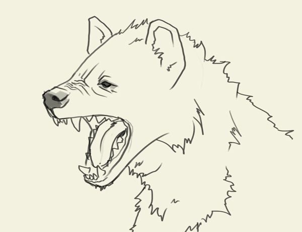 600x460 Pin By Alexandra Price On Animals ) Hyena, Drawings - Hyena Sketch