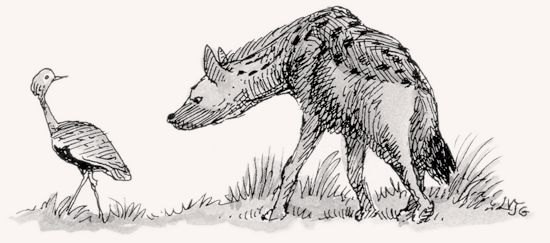 550x243 Spotted Hyena Mpalalive! - Hyena Sketch