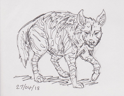 400x311 Striped Hyena Sketch Weasyl - Hyena Sketch