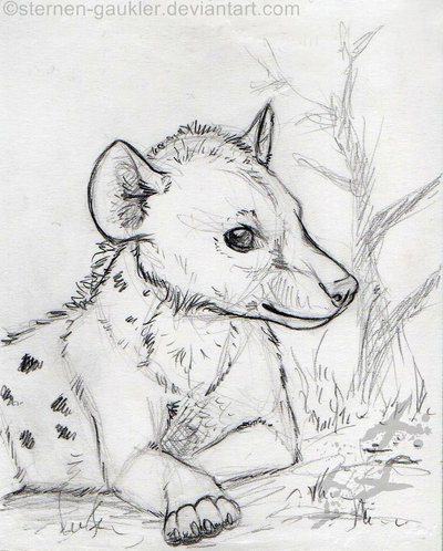 400x498 Teeny Hyena Sketch Buy And Help Our Animals! ) Online Store - Hyena Sketch