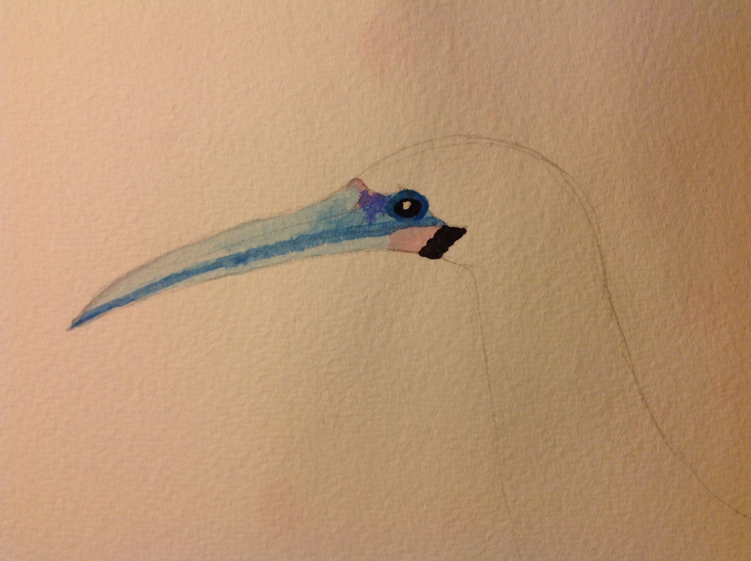 2592x1936 Ibis Sketch. Watercolour By Robert Stephen Hutchinson - Ibis Sketch