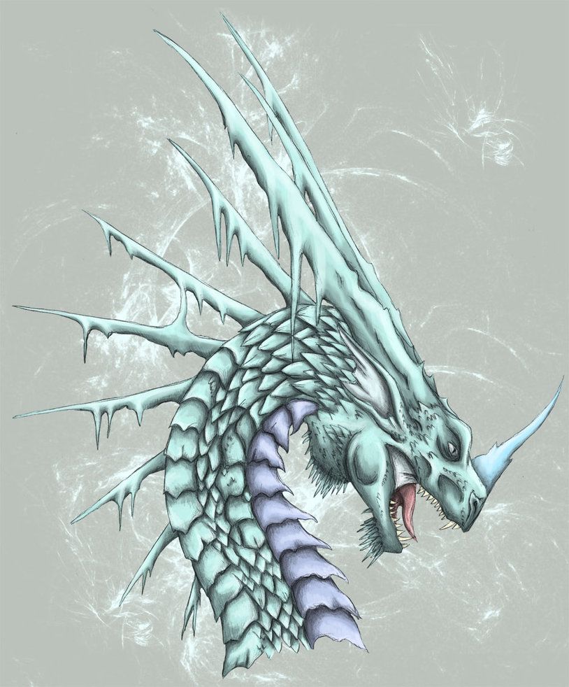 814x982 Ice Dragon Head By ~tarjcia Dragon Love - Ice Dragon Sketch