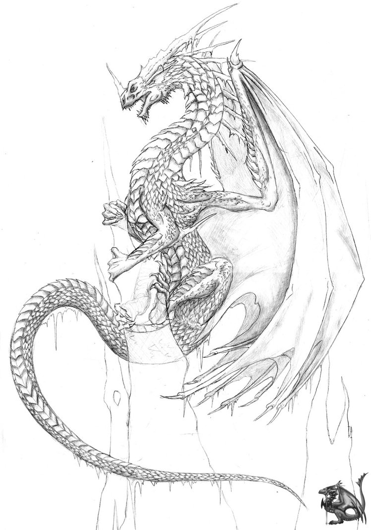 748x1068 Ice Dragon Scrap By Sheranuva - Ice Dragon Sketch