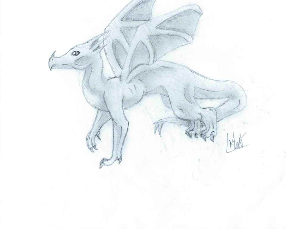 960x768 Ice Dragon Sketch By Thecatspupil - Ice Dragon Sketch