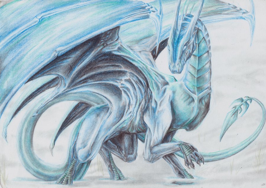 900x634 Image - Ice Dragon Sketch
