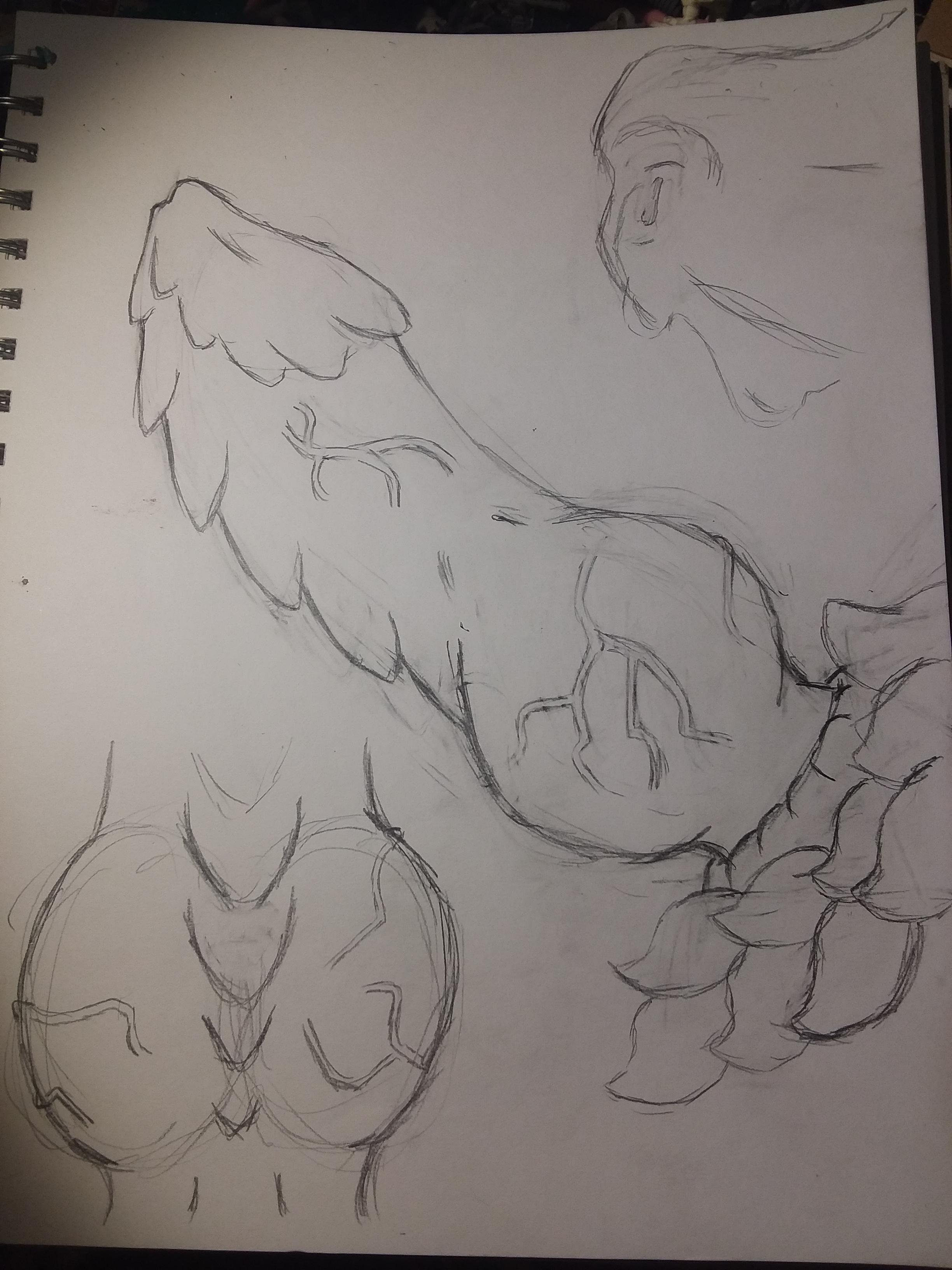 2448x3264 New Drawing Of An Ice Dragon Dongal - Ice Dragon Sketch