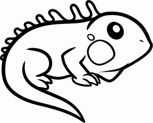 302x242 How To Draw How To Draw An Iguana For Kids - Iguana Sketch