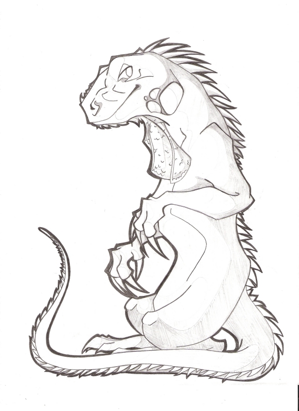 600x825 Iguana Sketch By Km Cowgirl - Iguana Sketch