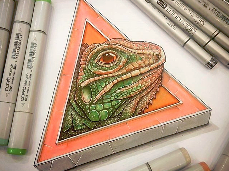 800x600 Iguana Sketch By Tino Valentin - Iguana Sketch