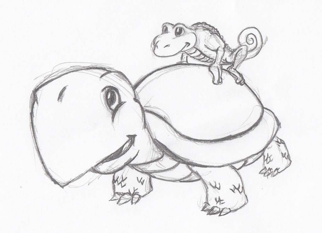 1024x743 Turtle With Iguana - Iguana Sketch