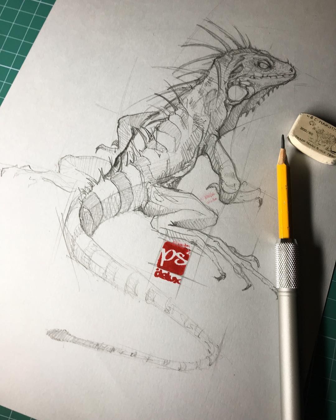 1080x1350 Green - Iguana Sketch
