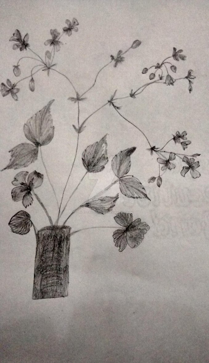 679x1176 Ikebana Sketch By Dilettanteartiste - Ikebana Sketch