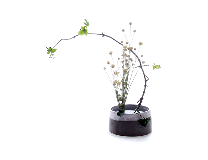 720x554 The Art Of Ikebana Flower Arranging - Ikebana Sketch