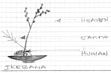 380x250 The Works Of - Ikebana Sketch