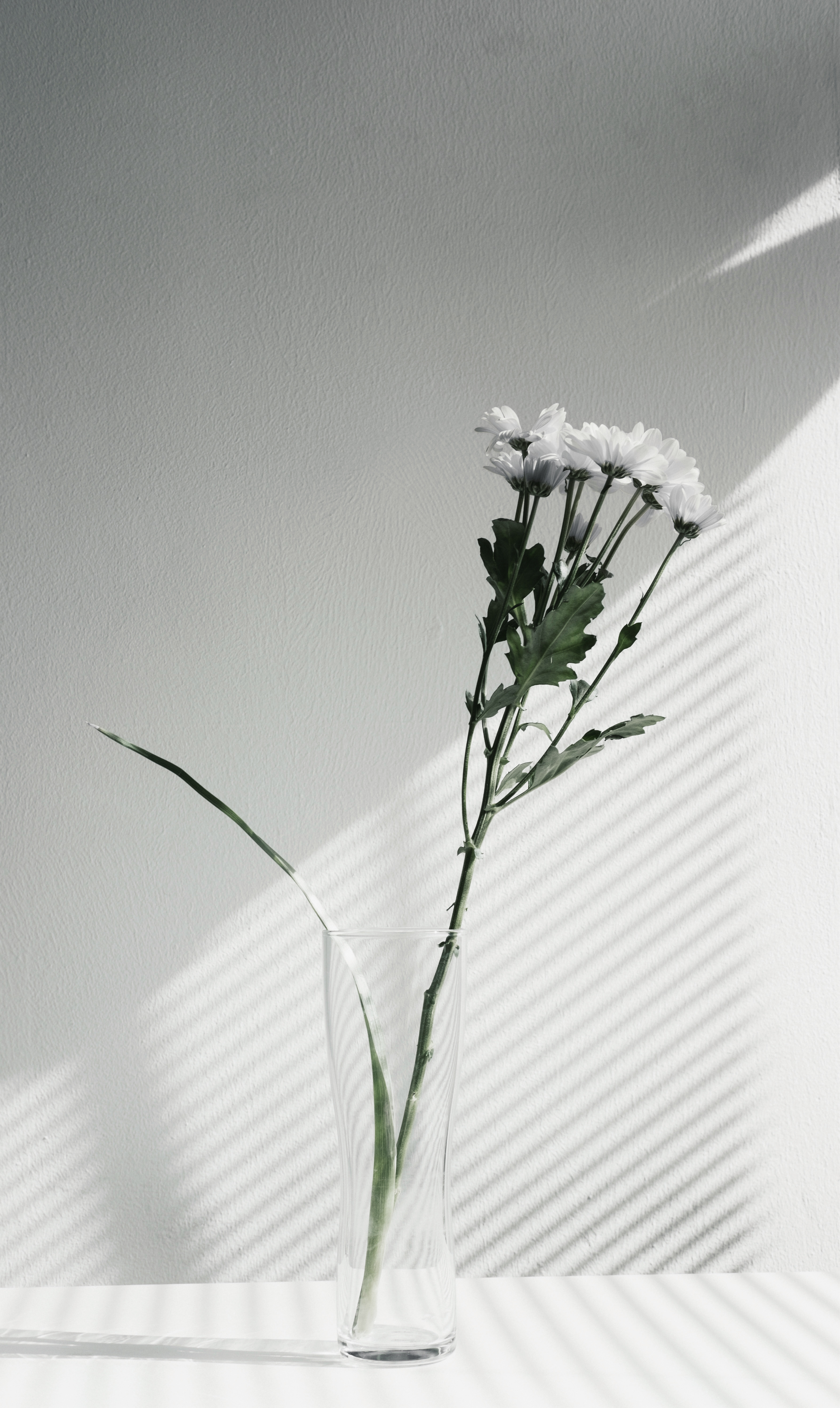 3571x5983 Free Images Branch, Black And White, Leaf, Flower, Line, Green - Ikebana Sketch