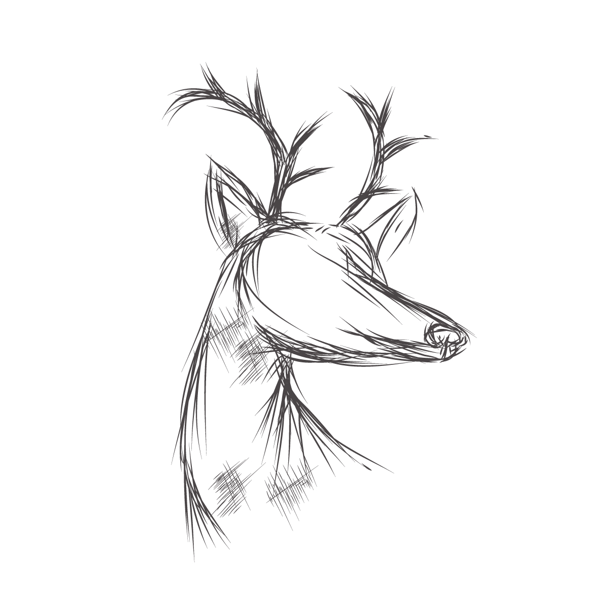 1200x1200 Illustrator Sketches Illustration - Illustration Sketches