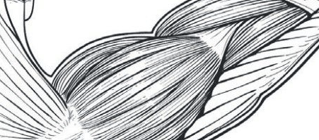 451x199 50 Illustrator Tutorials Every Designer Should See - Illustrator Sketch Effect