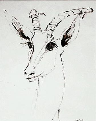 337x424 Impala Sketch - Impala Sketch